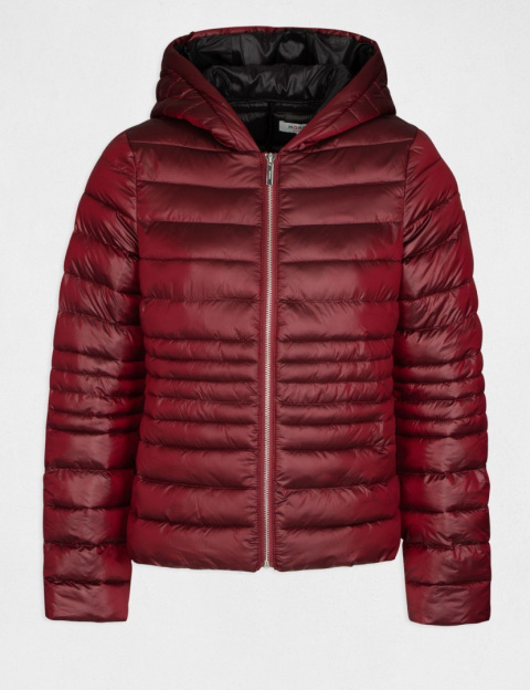 Morgan Jacket GISIDO.N LIE DE VIN Morgan Jacket GISIDO.N LIE DE VIN