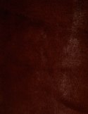 Morgan Coat GRIZLY.P CHOCO Morgan Coat GRIZLY.P CHOCO