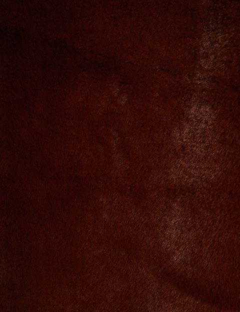 Morgan Coat GRIZLY.P CHOCO Morgan Coat GRIZLY.P CHOCO
