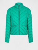 Morgan Jacket GMANDY VERT VEGETAL Morgan Jacket GMANDY VERT VEGETAL