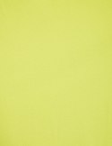 Morgan Dress ROOL VERT ACIDE
