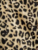 Morgan Dress ROYAL MULTICO Morgan Dress ROYAL MULTICO