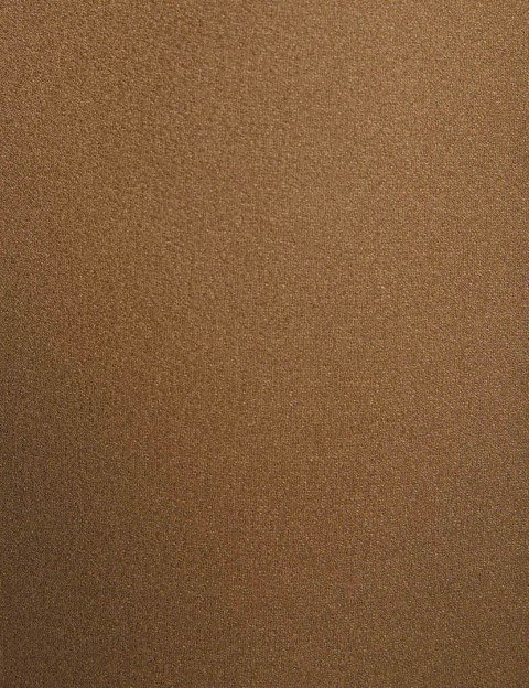 Morgan Spódnica JCELIN NUT