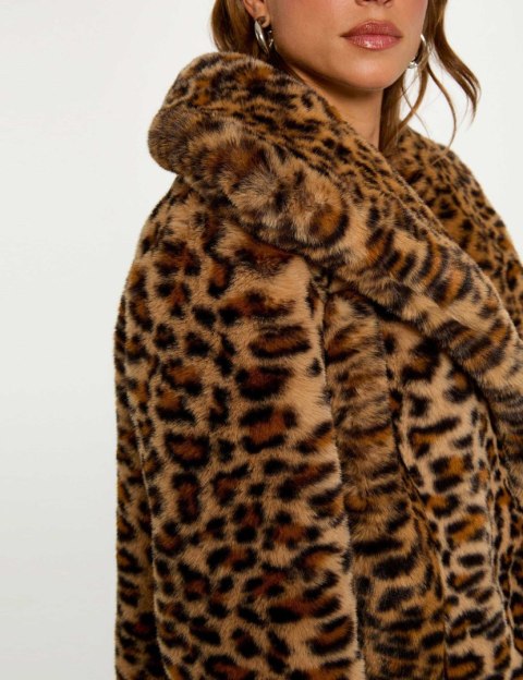 Morgan Jacket GDEO MULTICO