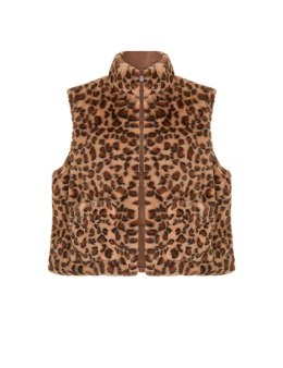 Morgan 5GILEO MULTICO