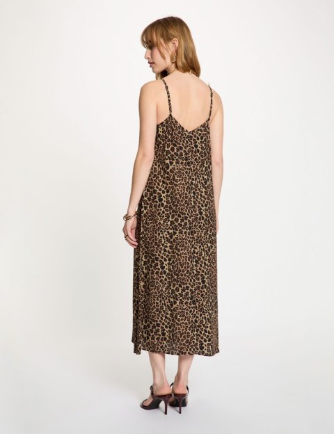Morgan Dress RDIXA MULTICO