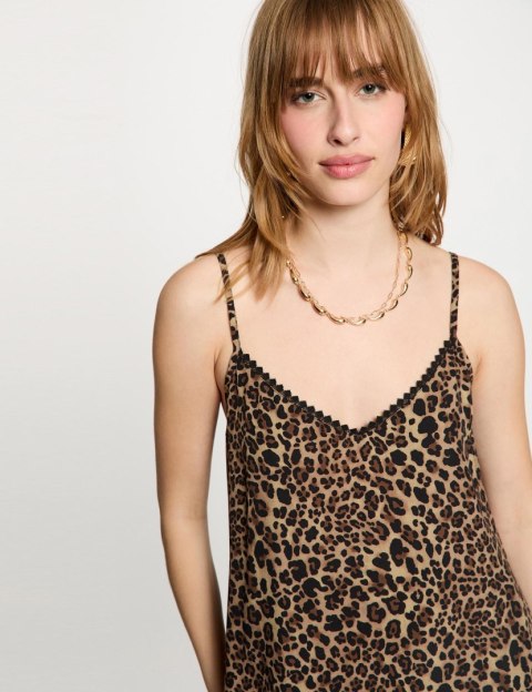 Morgan Dress RDIXA MULTICO